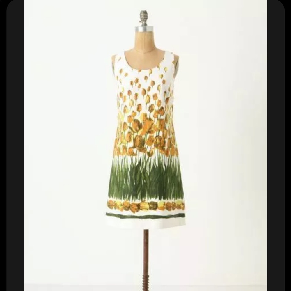 Anna Sui for Anthro Perennial Blooms Shift Dress